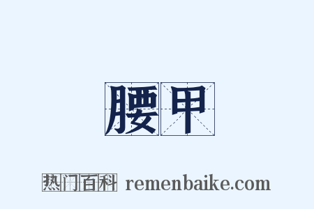腰甲是什么意思的图片